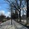 Wrocław: Tramwaj na Biskupin wróci w maju Wrocław: Tramwaj na Biskupin wróci w maju