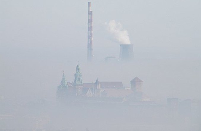 Raport PAS: jak Polska walczy ze smogiem