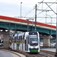 Tramwaje Szczecińskie dokupią dwukierunkowe tramwaje-składaki