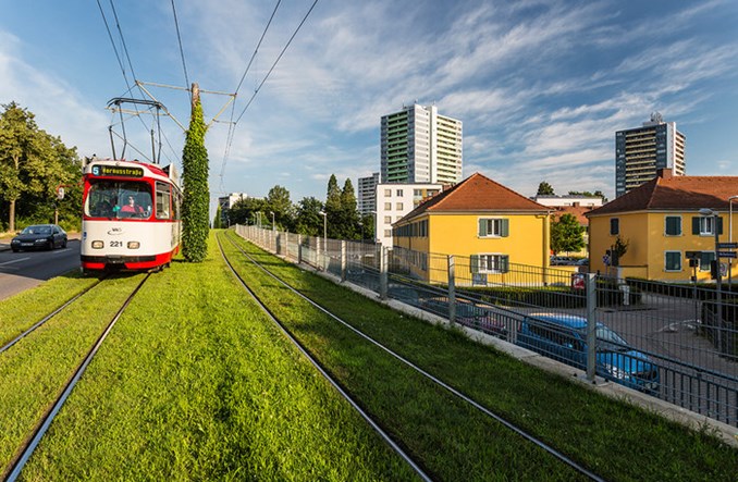 Torowisko tramwajowe we Fryburgu. Trawa między szynami, słup trakcyjny obrośnięty bluszczem.