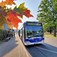 Bydgoszcz z umową na obsługę 11 linii autobusowych. Do ich obsługi przyjedzie 50 nowych autobusów 