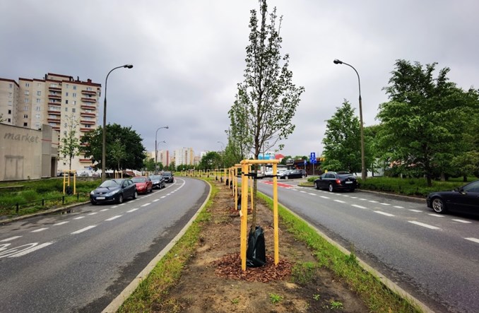 Warszawa: Zielona „obwodnica” Gocławia. Ponad 200 nowych drzew