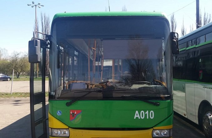 Powiat grudziądzki ma powiatową sieć autobusową