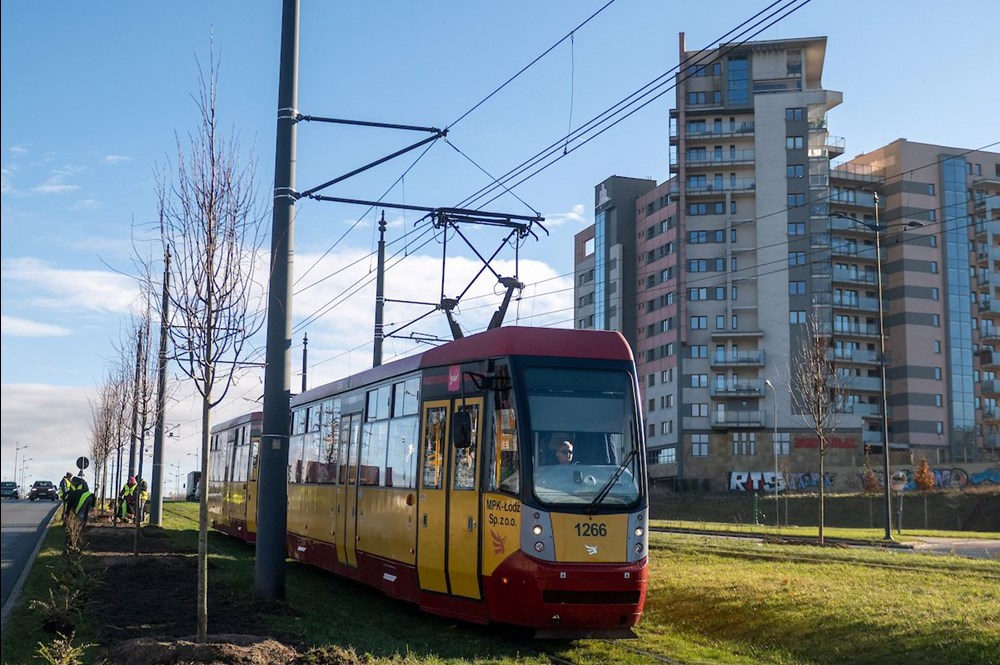 Łódź. Kolejne nasadzenia, blisko 100 drzew na ulicach miasta