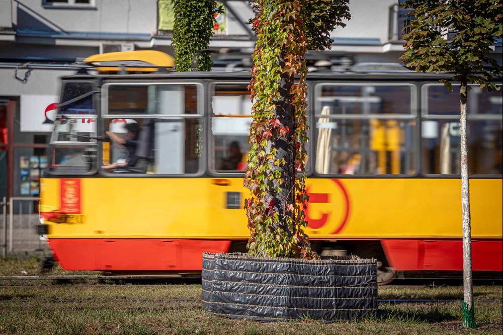 Tramwaje Warszawskie zazielenią kolejne słupy trakcyjne