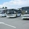 Jedna oferta na autobusy dla podpłockich gmin