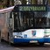 Solaris dostarczy dwa niskopodłogowe autobusy do Kołobrzegu