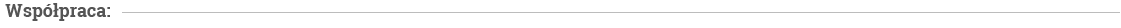 wsp&oacute;łpraca